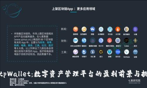 : tpWallet：数字资产管理平台的盈利前景与挑战