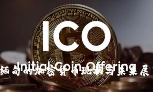  缅甸的加密货币现状与未来展望