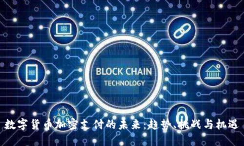 数字货币加密支付的未来：趋势、挑战与机遇