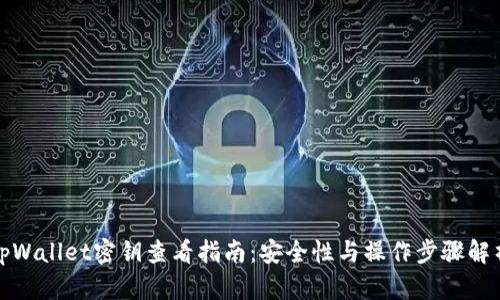 tpWallet密钥查看指南:安全性与操作步骤解析