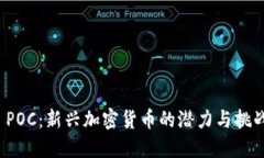  POC：新兴加密货币的潜力与挑战
