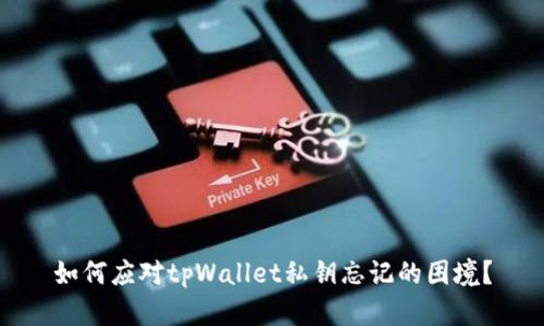 如何应对tpWallet私钥忘记的困境？