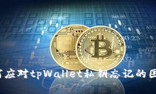 如何应对tpWallet私钥忘记的困境？