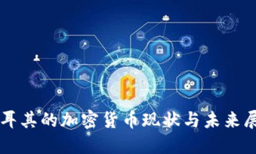 土耳其的加密货币现状与未来展望