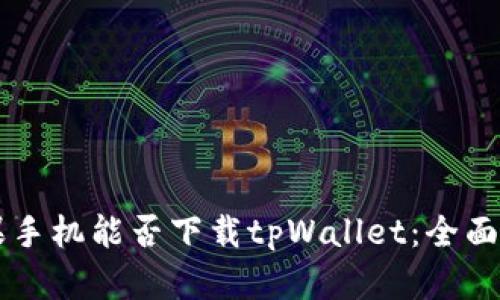 苹果手机能否下载tpWallet：全面解析