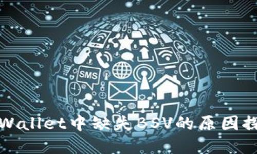 tpWallet中缺失BSV的原因探究