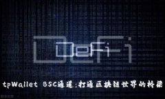 tpWallet BSC通道：打通区块链世界的桥梁