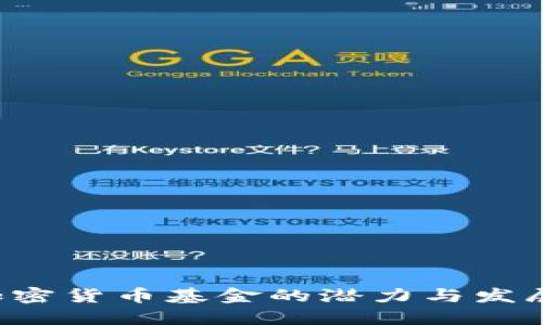 PKI加密货币基金的潜力与发展趋势