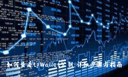 如何查看tpWallet公钥：详细步骤与指南