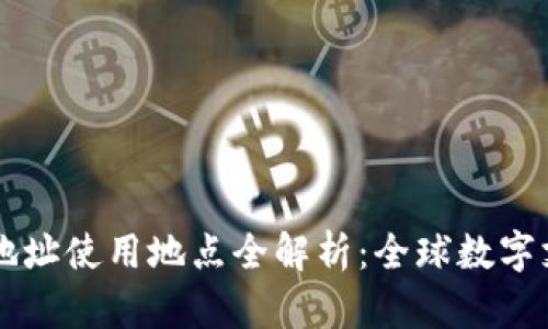 tpWallet地址使用地点全解析：全球数字支付的未来