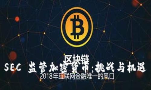SEC 监管加密货币：挑战与机遇