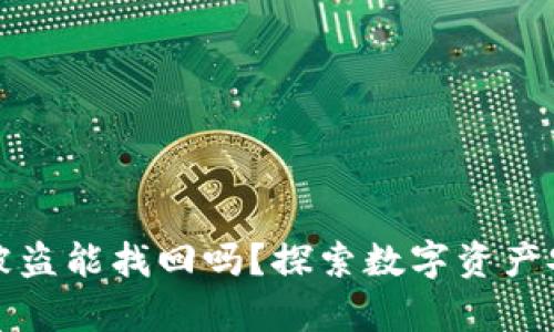 tpWallet授权被盗能找回吗?探索数字资产安全的应对策略