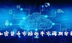 加密货币市场的牛市周期分析