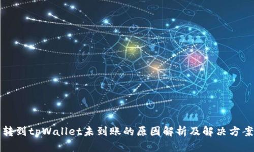 转到tpWallet未到账的原因解析及解决方案