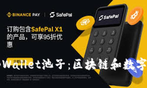 深入了解tpWallet池子：区块链和数字资产的未来