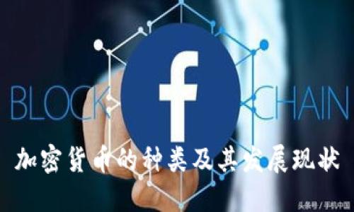 加密货币的种类及其发展现状