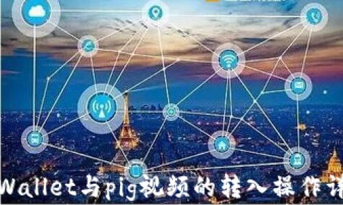 
tpWallet与pig视频的转入操作详解