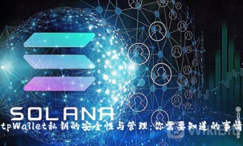 tpWallet私钥的安全性与管理:你需要知道的事情