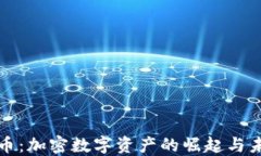 麒麟货币：加密数字资产的崛起与未来展望