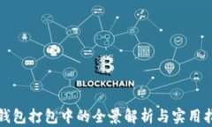 TP钱包打包中的全景解析与实用指南