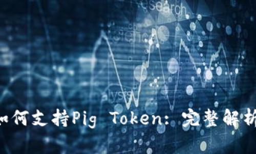  tpWallet如何支持Pig Token: 完整解析及使用指南