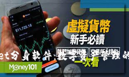 tpWallet分身软件：数字资产管理的新选择