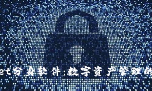 tpWallet分身软件：数字资产管理的新选择