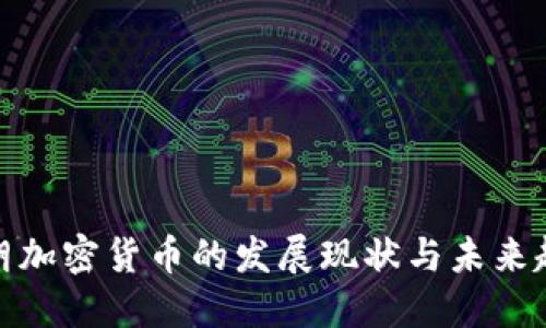 伊朗加密货币的发展现状与未来趋势