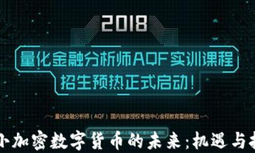 中小加密数字货币的未来:机遇与挑战