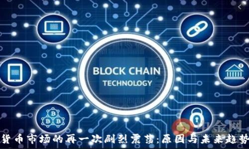  
加密货币市场的再一次剧烈震荡：原因与未来趋势分析