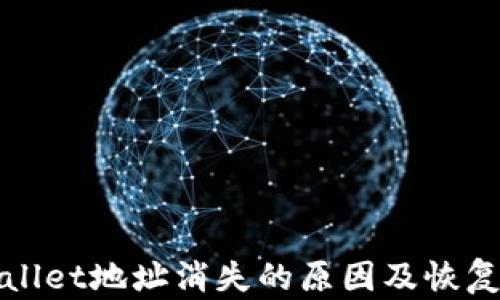 
tpWallet地址消失的原因及恢复方法