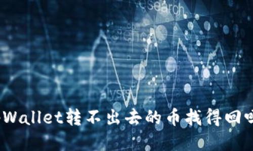 tpWallet转不出去的币找得回吗?