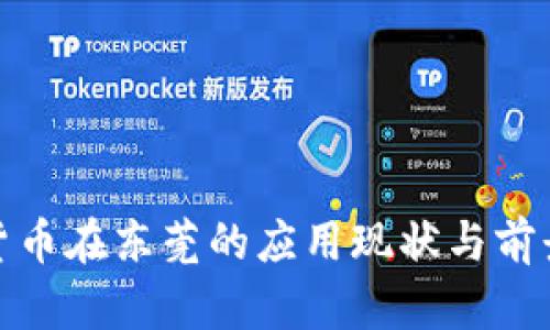 加密货币在东莞的应用现状与前景探讨