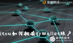 bpaitou如何拥有tpWallet账户权限