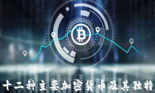 
探索十二种主要加密货币及其独特特性