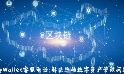 tpWallet客服电话:解决您的数字资产管理问题