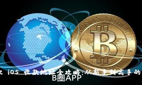 tpWallet iOS 收款地址全攻略:从新手到高手的完全指南