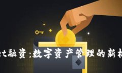 : tpWallet融资:数字资产管理的新机遇与挑战