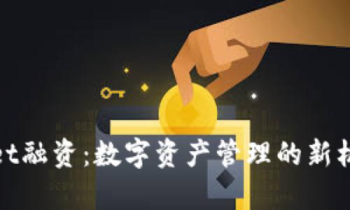 : tpWallet融资：数字资产管理的新机遇与挑战