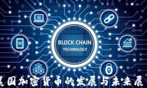 
美国加密货币的发展与未来展望