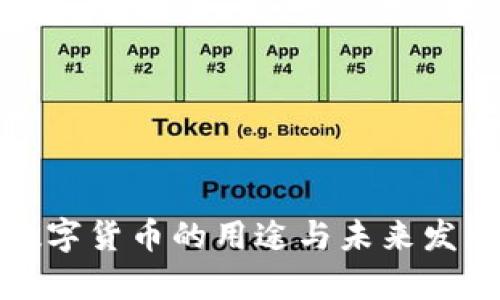 加密数字货币的用途与未来发展探析