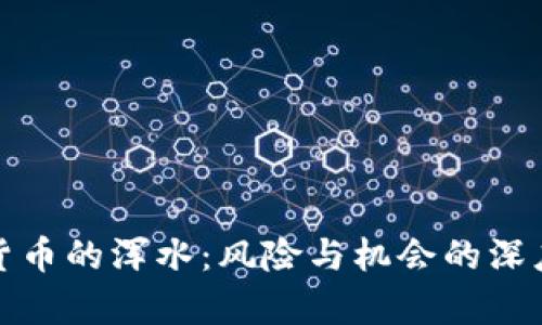 加密货币的浑水：风险与机会的深度解析