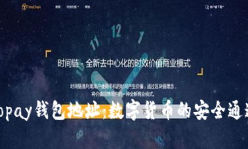 Topay钱包地址:数字货币的安全通道