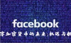 数字加密货币的未来：机遇与挑战
