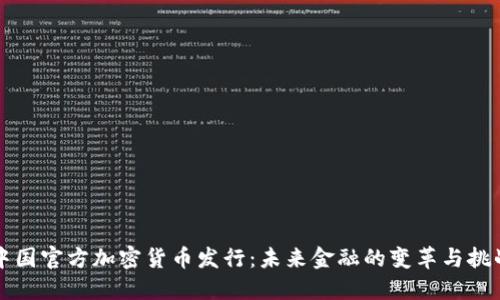 中国官方加密货币发行：未来金融的变革与挑战