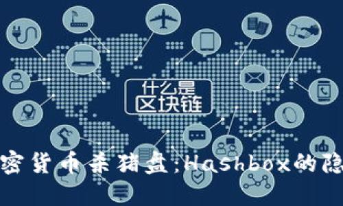 揭秘加密货币杀猪盘：Hashbox的隐秘运作