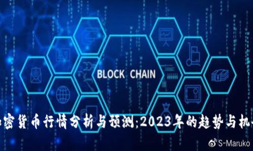 加密货币行情分析与预测：2023年的趋势与机会