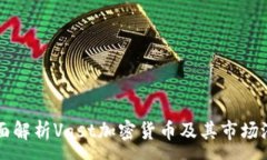 :全面解析Vast加密货币及其市场潜力