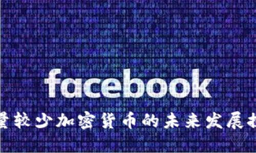 数量较少加密货币的未来发展探索