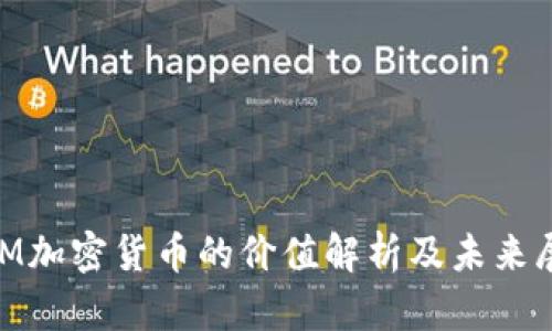 DOM加密货币的价值解析及未来展望